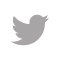 Twitter icon that links to speakers Twitter page.